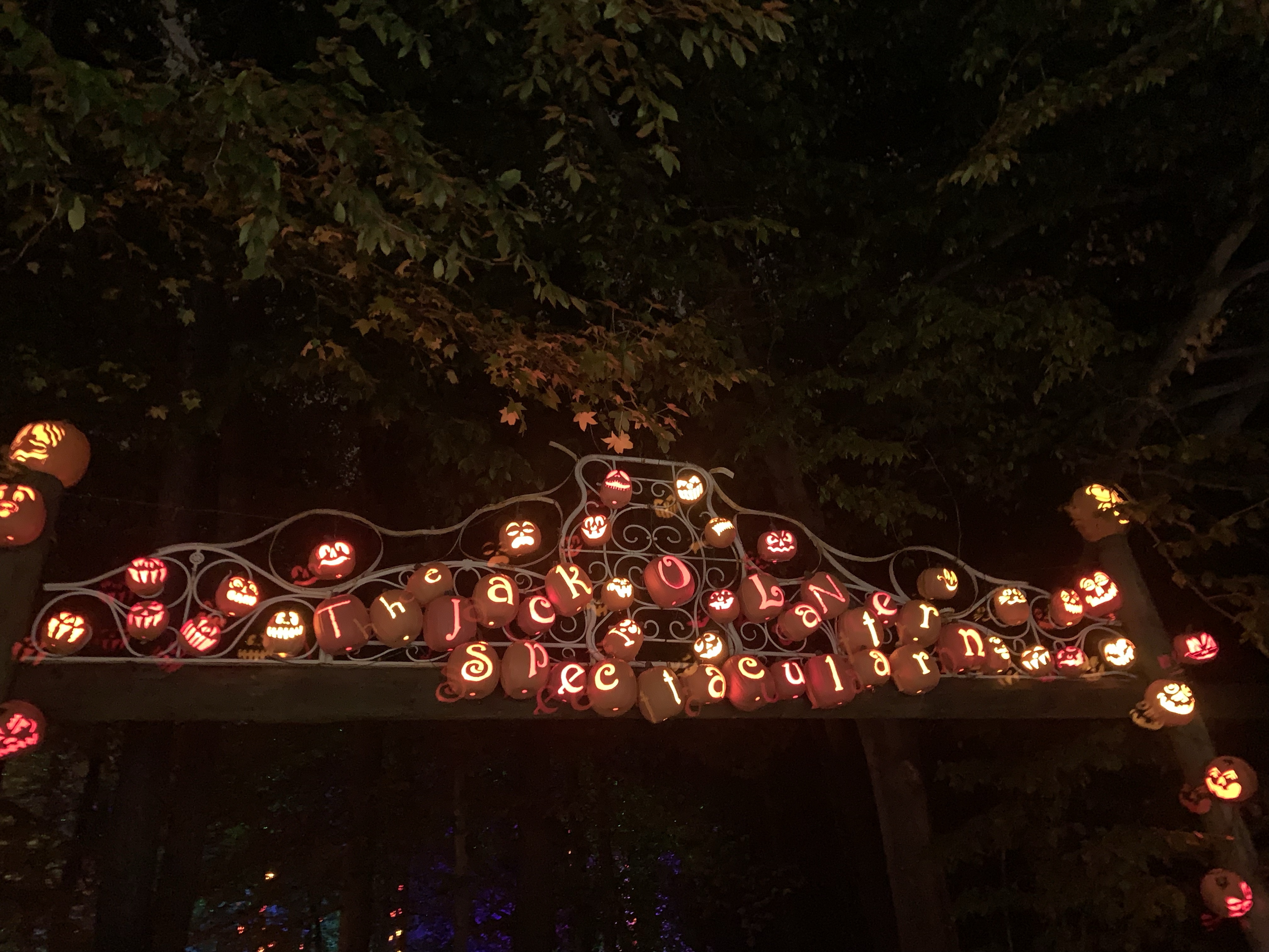 Adventures at the Louisville Jack O’Lantern Spectacular