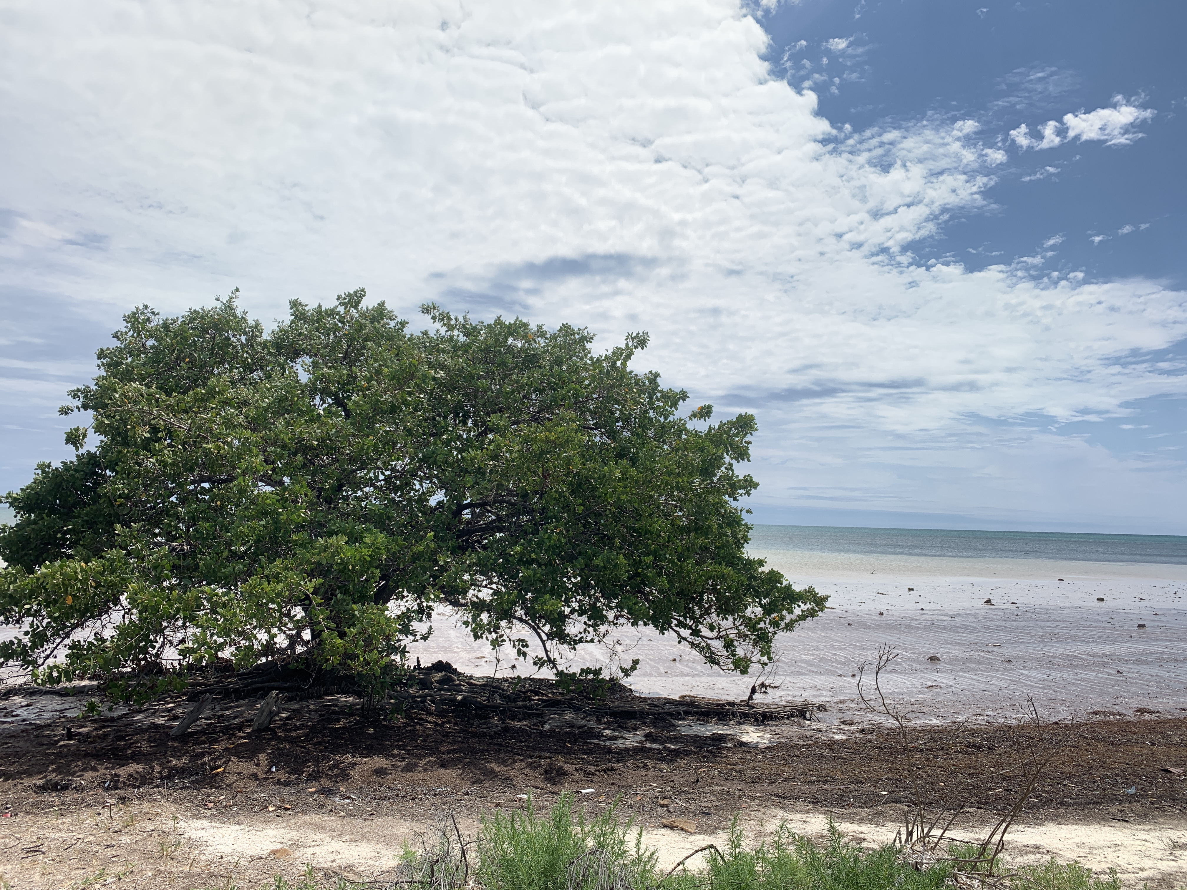 The Florida Keys Trip 2023