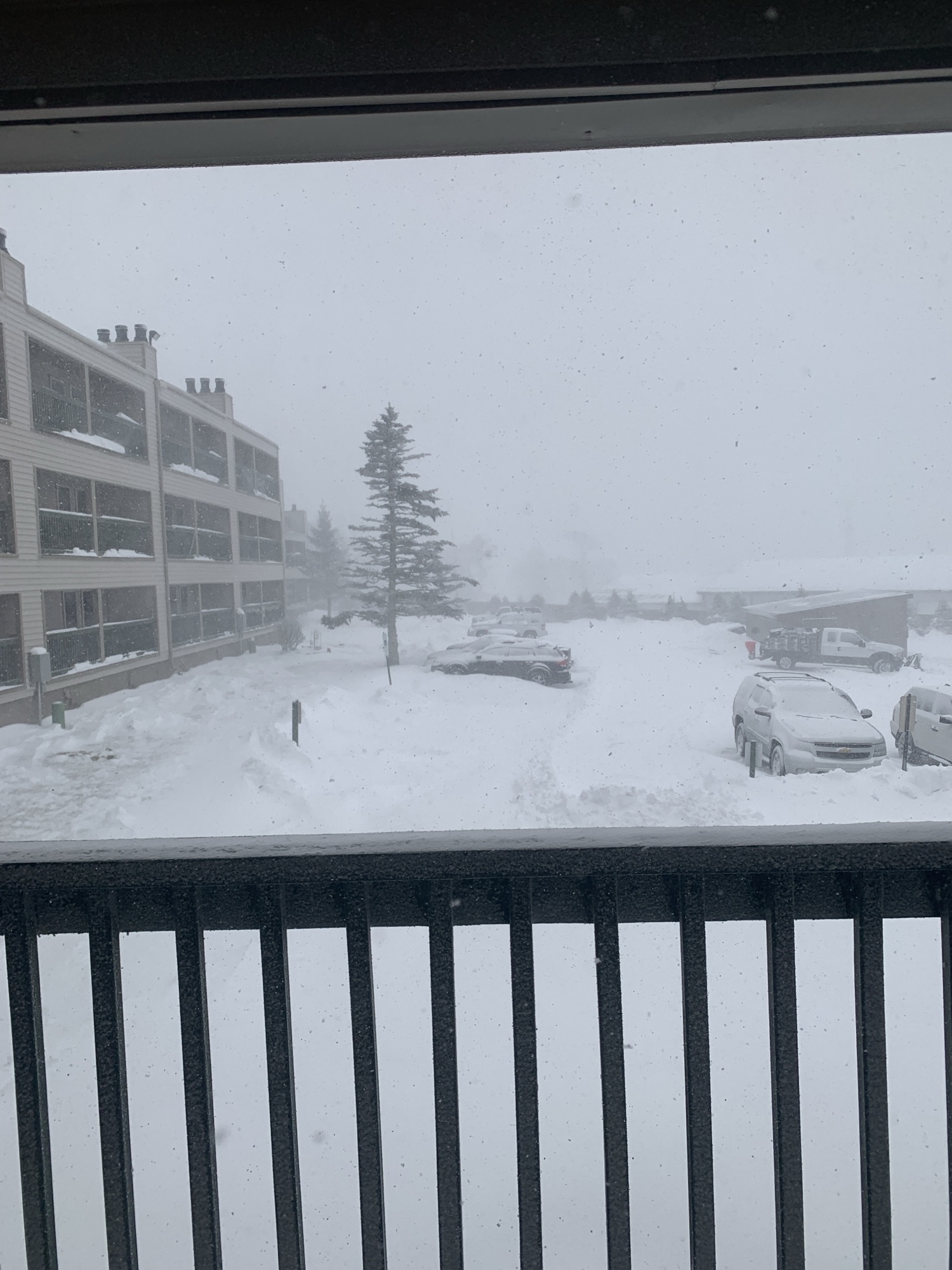 Our Beech Mountain Misadventure