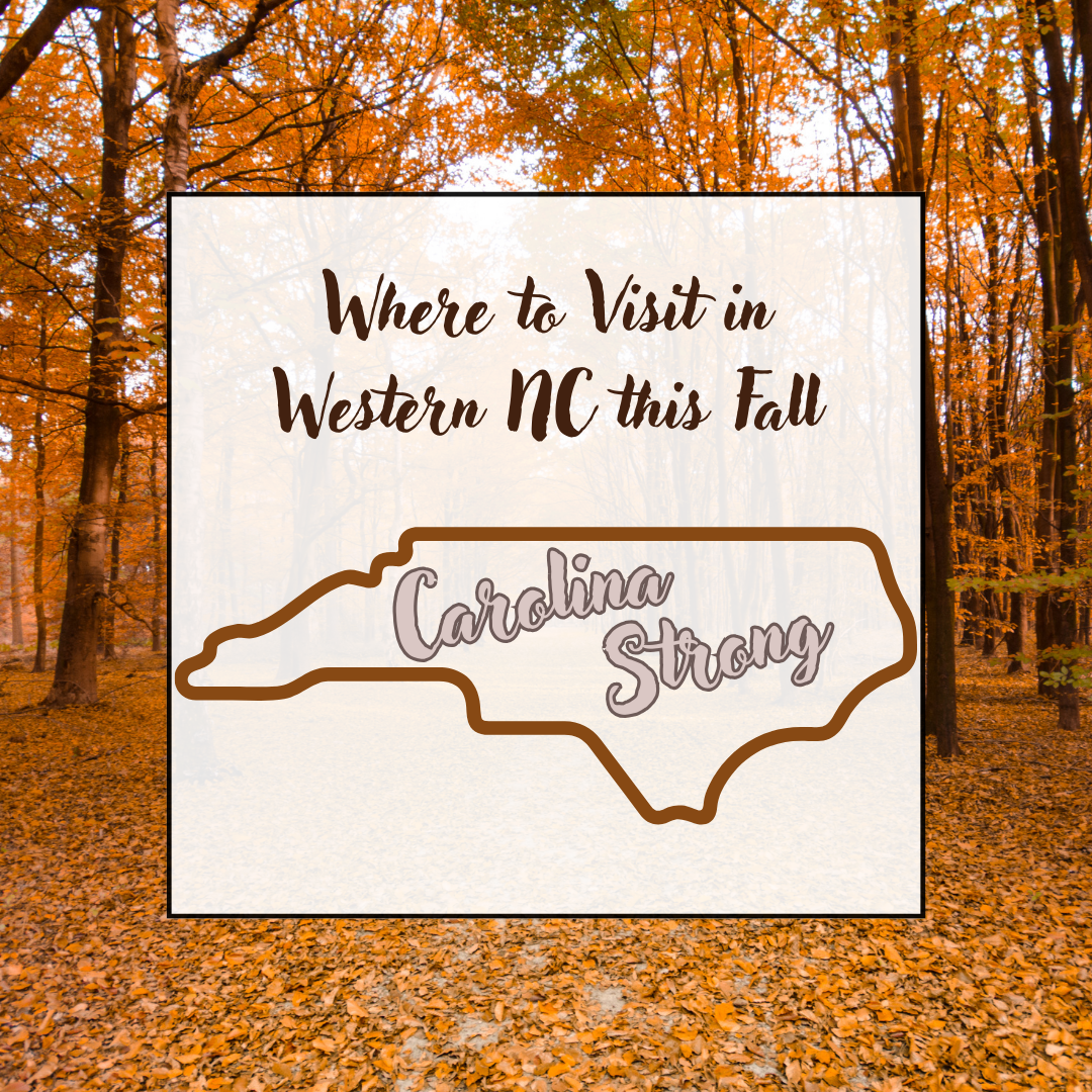 Where to Visit in WNC this Fall